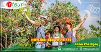 Du Lịch Tết 2026: Tour Bến Tre - Cái Mơn - Chợ Lách - Vinh Sang - Cần Thơ 4 Ngày 3 Đêm