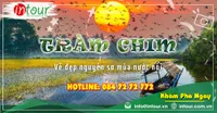 Du Lịch Tết 2026: Tour Đồng Tháp Tràm Chim Gáo Giồng 2 Ngày 1 Đêm