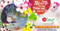 Du Lịch Tết 2026: Tour Cát Bà 2 Ngày 1 Đêm