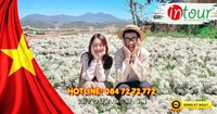Du Lịch Lễ 30/4/2026: Tour Nha Trang - Đà Lạt 4 Ngày 3 Đêm