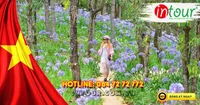 Du Lịch Lễ 30/4/2026: Tour Nha Trang - Đà Lạt 5 Ngày 4 Đêm