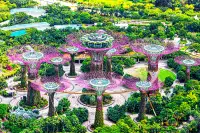 Tour Trà Vinh Singapore Trọn Gói Năm 2025 1