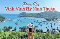Vịnh Vĩnh Hy Ninh Thuận: Cách Đi Từ Ninh Chữ, Tàu Đáy Kính, Hang Rái