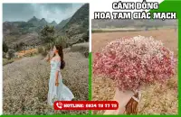 Tour du lịch Hà Giang 4 ngày 3 đêm 6