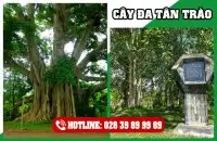 Tour Du Lịch Hà Giang 6 ngày 5 đêm: Lũng Hồ - Du Già - Na Hang - Huyền Thoại Sông Gâm 3