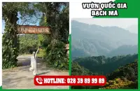 Tour Du Lịch Rừng Quốc Gia Bạch Mã 1 Ngày Trọn Gói 4