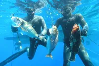  Tour săn bắn cá Đảo Bình Hưng Trọn Gói