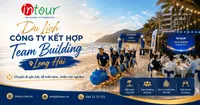 Du Lịch Công Ty Kết Hợp Team Building Long Hải: Cách Xây Chuyến Đi Gắn Kết, Dễ Triển Khai