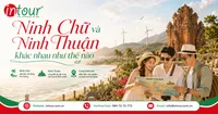 Ninh Chữ Và Ninh Thuận Khác Nhau Như Thế Nào? Nên Đi Theo Hành Trình Nào