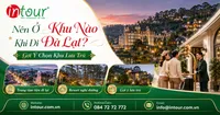Nên Ở Khu Nào Khi Đi Đà Lạt? Gợi Ý Chọn Trung Tâm, Hồ Tuyền Lâm, Tà Nung, Cầu Đất Theo Từng Nhóm Khách