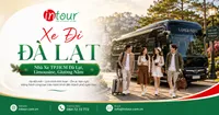 Xe Đi Đà Lạt Từ TPHCM | Kinh Nghiệm Chọn Nhà Xe, Limousine, Giường Nằm