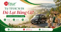 Từ TPHCM Đi Đà Lạt Bằng Gì? So Sánh Xe Khách, Limousine, Xe Riêng Và Máy Bay