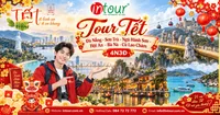 Du Lịch Tết 2027: Tour Đà Nẵng - Sơn Trà - Ngũ Hành Sơn - Hội An - Bà Nà - Cù Lao Chàm 4 Ngày 3 Đêm