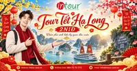 Du Lịch Tết 2027: Tour Hạ Long 2 Ngày 1 Đêm
