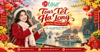 Du Lịch Tết 2027: Tour Hạ Long - Ngủ Du Thuyền 2 Ngày 1 Đêm