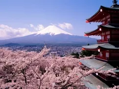 Tour du lịch Nhật Bản giá rẻ - Hành trình khám phá Tokyo, Osaka và Kyoto