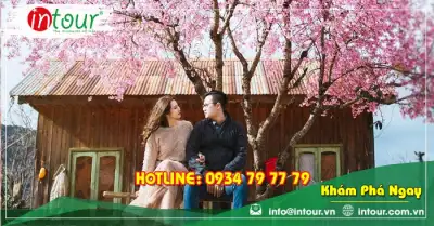 Tour Đồng Tháp Nha Trang - Đà Lạt 4 Ngày 4 Đêm Trọn Gói Năm 2025