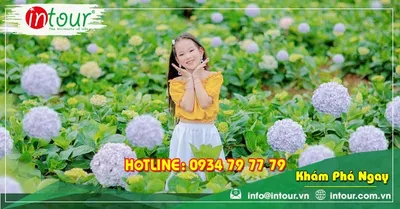 Tour du lịch Miền Bắc - Nha trang - Đà Lạt 2.790.000Đ (4 ngày 3 đêm) giá rẻ nhất VN