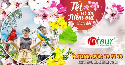 Du Lịch Tết 2026: Tour Đảo Phú Quốc 3 Ngày 3 Đêm Bằng Xe Giường Nằm