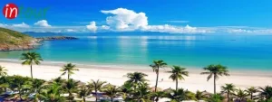 Tour Đà Lạt Khởi Hành Từ Đồng Nai Trọn Gói Cho Công Ty, Gia Đình