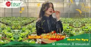 Tour Bình Phước Đà Lạt 3 ngày 3 đêm Trọn Gói Năm 2025