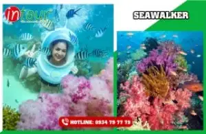 Tour du lịch nghỉ dưỡng biển Đảo Phú Quốc Resort 2 sao