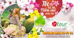 Du Lịch Tết 2026: Tour Phan Thiết Nha Trang Đà Lạt 6 Ngày 5 Đêm
