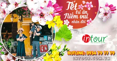 Du Lịch Tết 2026: Tour Đà Nẵng - Sơn Trà - Hội An - Bà Nà - Huế - Quảng Bình - Động Phong Nha 5 Ngày 4 Đêm