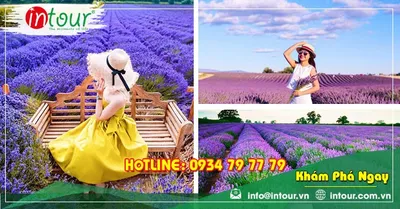 Tour Du Lịch Lễ hội Festival Hoa Đà Lạt 2026 3 Ngày 3 Đêm