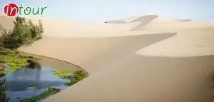 Tour Bến Tre Phan Thiết - Mũi Né 2 Ngày 1 Đêm Trọn Gói Năm 2025