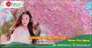 Tour Vĩnh Long Phan Thiết - Đà Lạt 4 Ngày 4 Đêm Trọn Gói Năm 2025