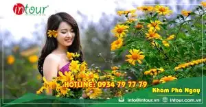 Tour Bến Tre Đà Lạt 3 Ngày 3 Đêm Trọn Gói Năm 2025