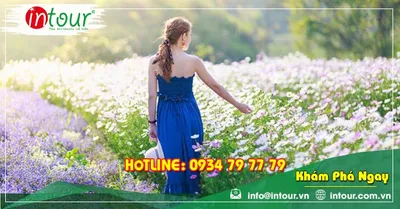 Tour Ninh Chữ Vĩnh Hy Khởi Hành Từ Vĩnh Long Trọn Gói