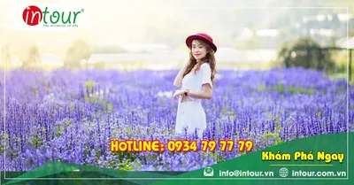 Tour Phan Thiết Khởi Hành Từ Sóc Trăng Trọn Gói Cho Công Ty, Gia Đình