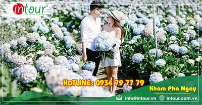 Tour Đà Lạt Khởi Hành Từ Kiên Giang Trọn Gói Cho Công Ty, Gia Đình