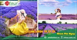 Tour Cà Mau Nha Trang - Đà Lạt 4 Ngày 4 Đêm Trọn Gói Năm 2025