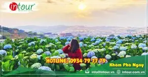 Tour Cần Thơ Đà Lạt 3 Ngày 3 Đêm Trọn Gói Năm 2025