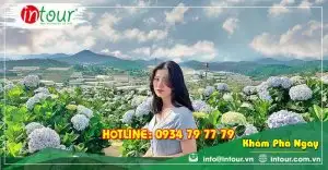 Tour Long An Phan Thiết - Đà Lạt 4 ngày 3 đêm Trọn Gói Năm 2025