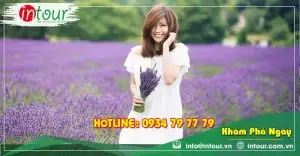 Tour Mỹ Tho/Tiền Giang  Phan Thiết - Đà Lạt 4 Ngày 4 Đêm Trọn Gói Năm 2025