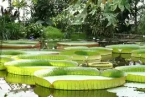 Tour Hải Phòng Miền Tây 4 Ngày 3 Đêm: Châu Đốc - Hà Tiên - Cần Thơ Trọn Gói Năm 2025