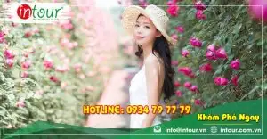 Tour Hải Phòng Nha Trang - Đà Lạt 4 Ngày 3 Đêm Trọn Gói Năm 2025