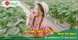 Tour Bắc Giang Đà Lạt 3 Ngày 2 Đêm Bằng Máy Bay Trọn Gói Năm 2025