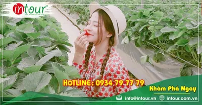 Tour Bắc Giang Đà Lạt 3 Ngày 2 Đêm Bằng Máy Bay Trọn Gói Năm 2026