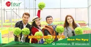 Tour Điện Biên Đà Lạt 3 ngày 2 đêm Trọn Gói Năm 2025