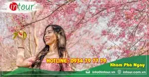Tour Tuyên Quang Nha Trang - Đà Lạt 4 ngày 3 đêm Trọn Gói Năm 2025