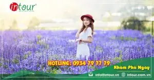 Tour Quảng Trị Đà Lạt 3 ngày 2 đêm Trọn Gói Năm 2025