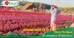 Tour Long An Nha Trang - Đà Lạt 4 ngày 4 đêm Trọn Gói Năm 2025
