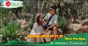 Tour Vũng Tàu Phan Thiết - Đà Lạt 4 Ngày 3 Đêm Trọn Gói Năm 2025