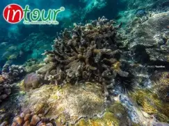 Tour Team Building - Gala Dinner Bình Hưng - Ninh Thuận 2 Ngày 2 Đêm