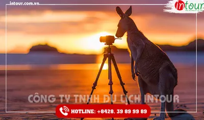 Du Lịch Tết 2026: Tour Úc 6 Ngày 5 Đêm